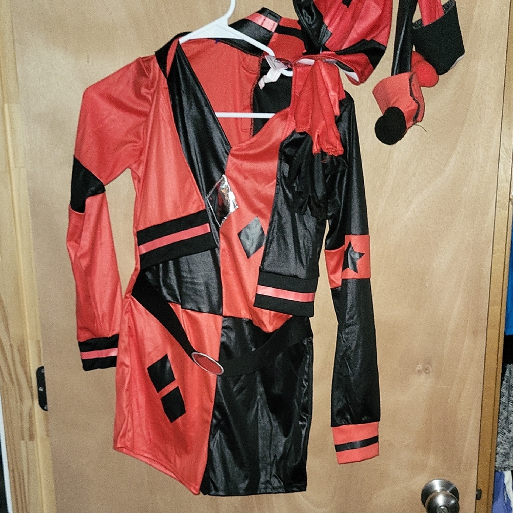 Harley Quinn Costume